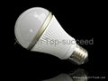 LED bulbs 1