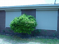 window roller shutters