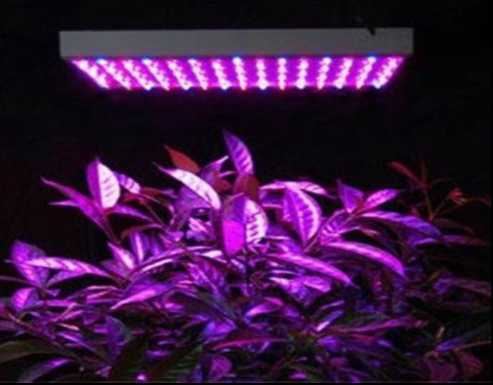 2012 promotional high power 300w led  grow light 3