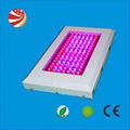 120w led grow light for vegetables 2