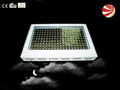 200W wholesale led grow light 2