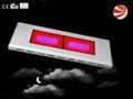 600W led grow light for greenhouse 3