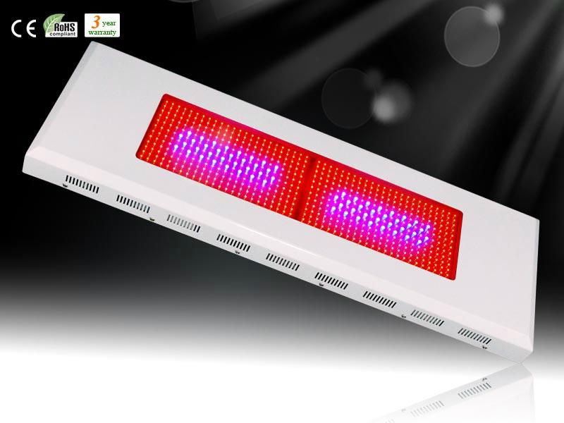 600W led grow light for greenhouse 4