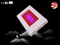 300w led  grow light for flower 2