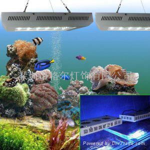 2012 the newest design 60W led aquarium light 2