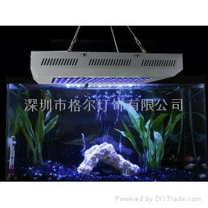 2012 the newest design 60W led aquarium light 3