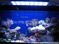 2012 the newest design 60W led aquarium light 5