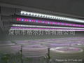 led T8 tube grow light for the supermarket