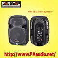 professional active speaker 1