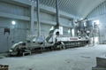 Continuous Rice Cooking Machine massive production 1