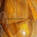 Polyester and Nylon Organza 2