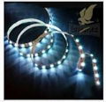 SMD5050  LED Strip, SMD LED Light 10*1000mm/60LEDs