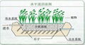 供应广州维护生态资源平衡人工湿地