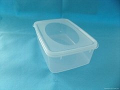 transparent plastic food box