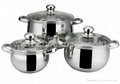 10pcs Stainless Steel Cookware Set 5