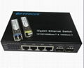 5 ports Gigabit Ethernet Optical Fiber