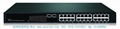 T24F2 Pure Gigabit Ethernet Switch 1