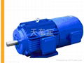 YZP  frequency conversion motor 3