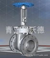 ANSI Gate Valve