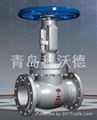 Globe Valve 1