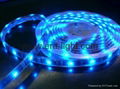 LED Flexible Light 1