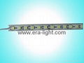 LED Rigid Light 1