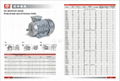 MS series three-phase aluminum asynchronous motor 2