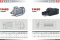 YM80 SAW motor 3