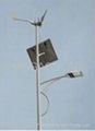 solar street light