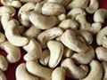 cashewnuts 1