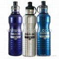 Stainless Steel Sports Bottle