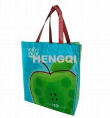 Non Woven Shopping Bag