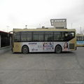 公交車廣告 3