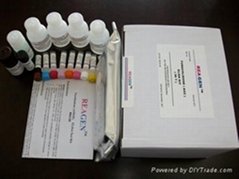 牛奶總抗生素檢測試劑盒