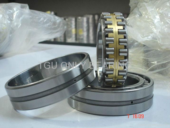 TGU double row cylindrical roller bearing skype:onlybearing01