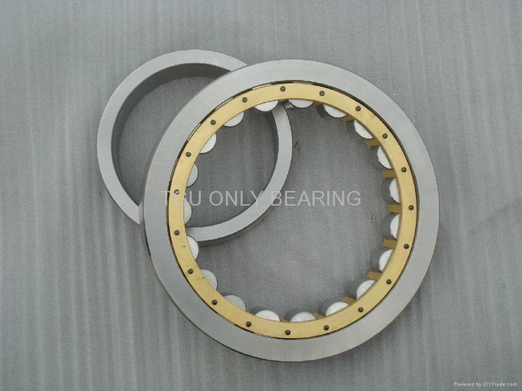 TGU double row cylindrical roller bearing skype:onlybearing01 2