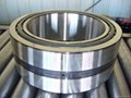 TGU double row cylindrical roller bearing skype:onlybearing01 3