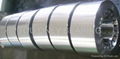 TGU Three row cylindrical roller bearing skype:onlybearing01 4