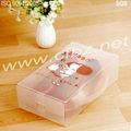 Frosted plastic box packaging 2