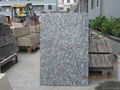 Hot sale white granite from shenzhen