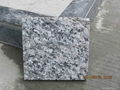Hot sale white granite from shenzhen huangfa stone 3