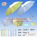 福州雨傘 3