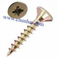 chipboard screw 2