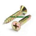 chipboard screw 5