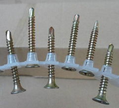 Collated screw