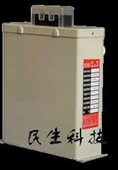 BSMJ self healing low voltage shunted capacitor