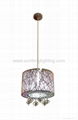 satinless steel pendant light 4