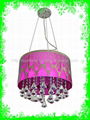 satinless steel pendant light 2