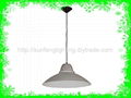 dia360*H1100mm  60W  pendant light