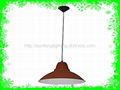 dia360*H1100mm  60W  pendant light 2